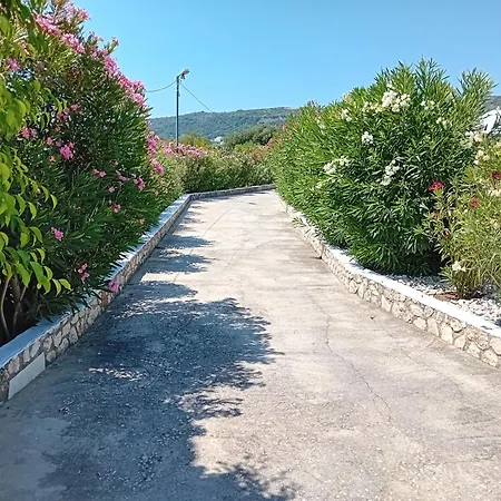 Peristera 4*